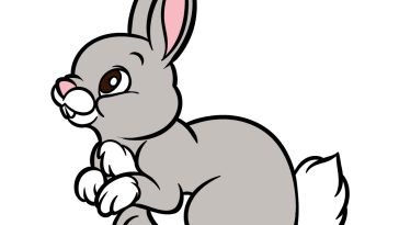 how to draw a cartoon rabbit image