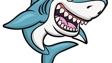 how to draw a cartoon shark image