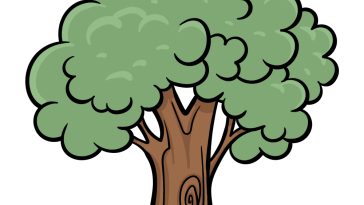 how to draw a cartoon tree image