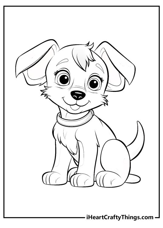 Picture featuring perky puppy with a collar around his neck sitting with ears perked up