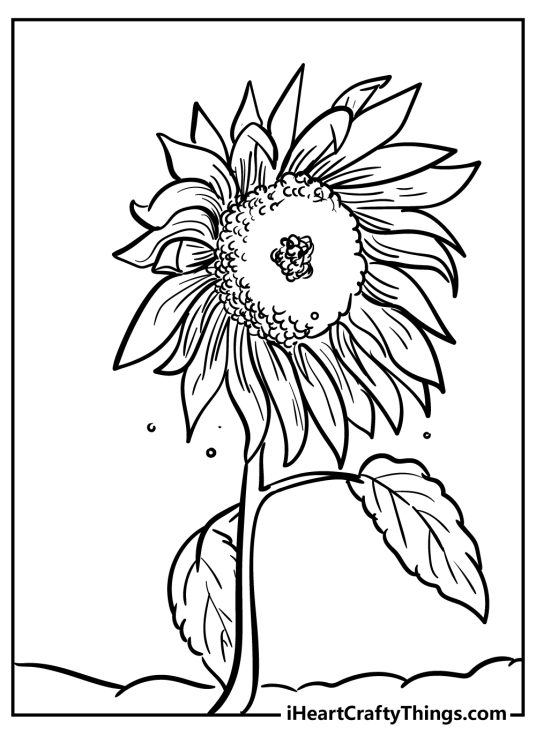 Free printable coloring image depicting a sunflower that is flowing in the breeze