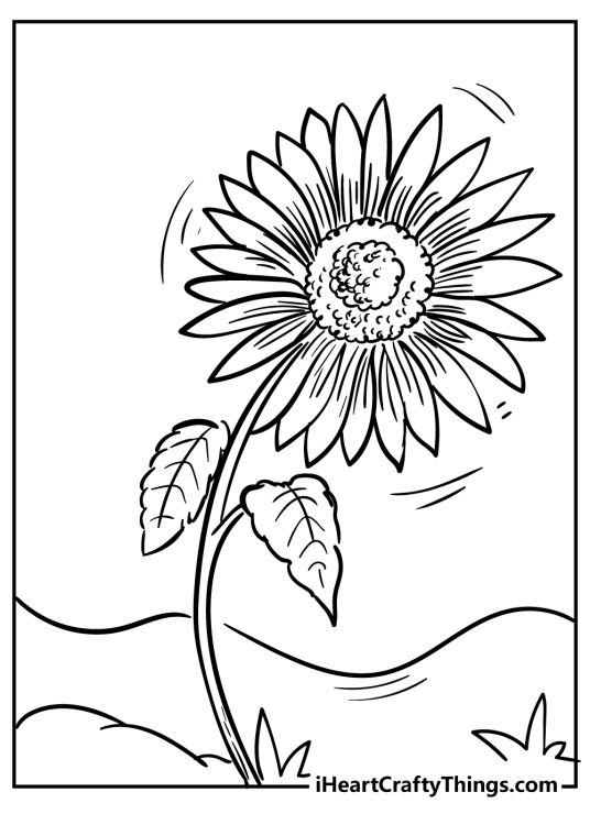 Detailed coloring image depicting a single sunflower bent to the right side due to wind