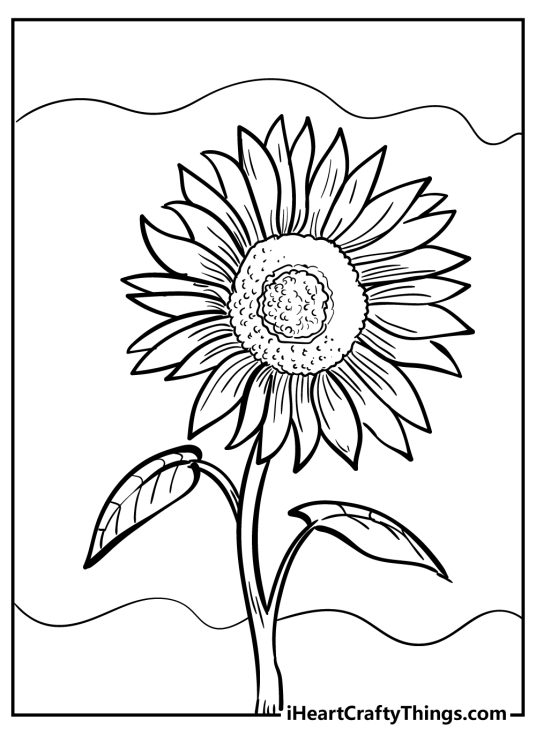 Free printable coloring page depicting majestic sunflower with wavy lines in the background