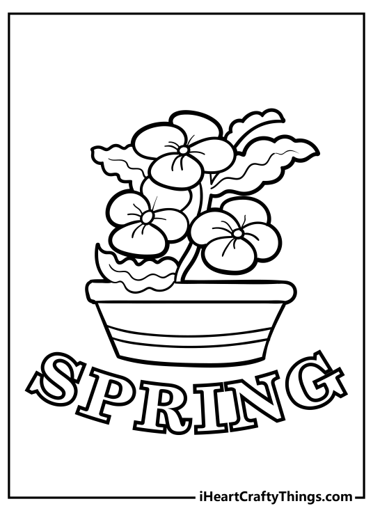 Picture to color presenting word SPRING and a pot with some pretty flowers above it