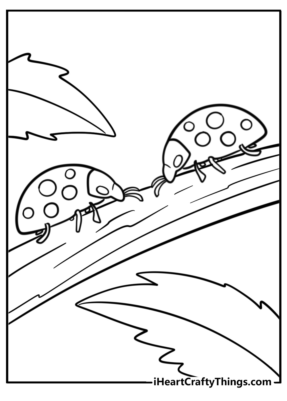 Two ladybugs together on a branch coloring page