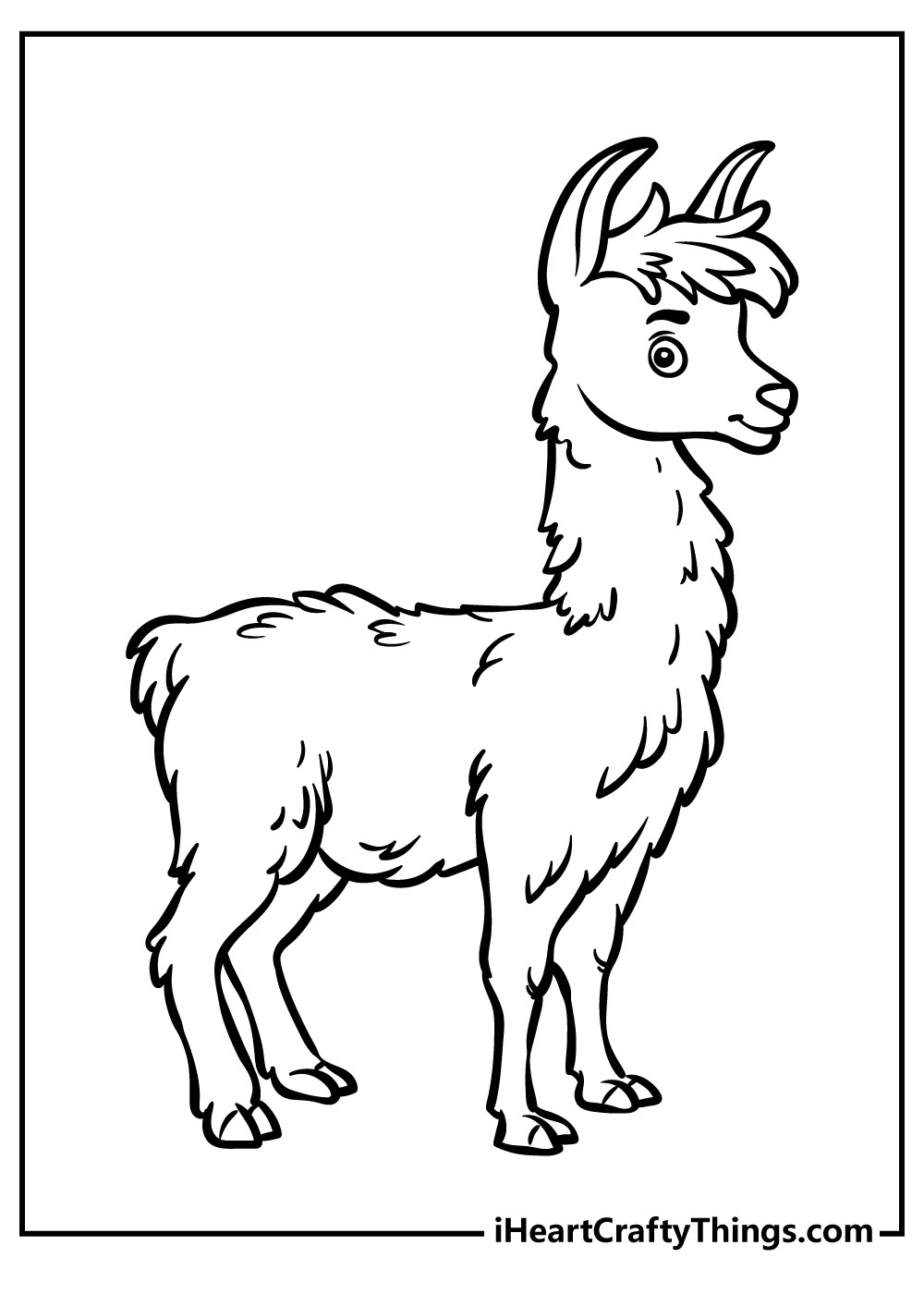 Black-and-white drawing for children of a furry little llama with long pointy ears