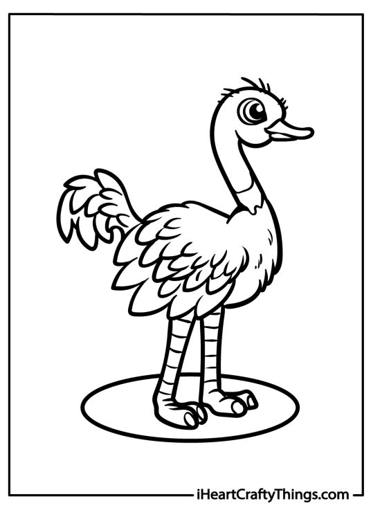 Cute animals picture to print and color of an ostrich featured on a spotlight facing right side