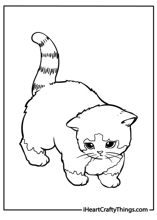 Printable coloring page for kids of an adult cat walking with its tail up in the air