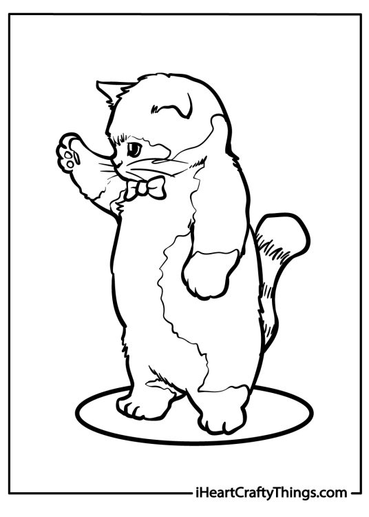Picture of a dapper cat standing on its hind legs on a spotlight and waving with his right paw