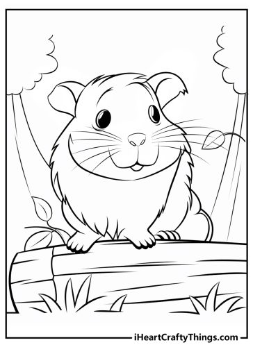 Guinea Pig Coloring Pages (100% Free Printables)