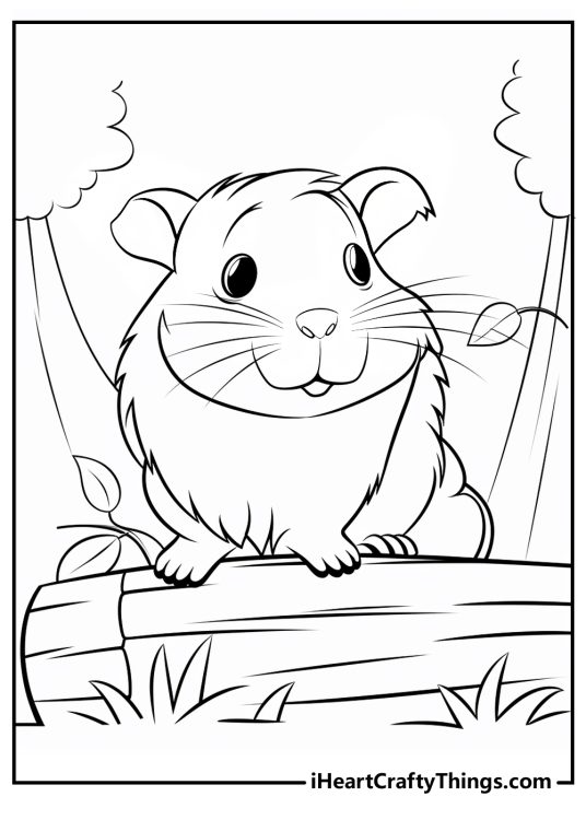 Guinea Pig Coloring Pages (100% Free Printables)