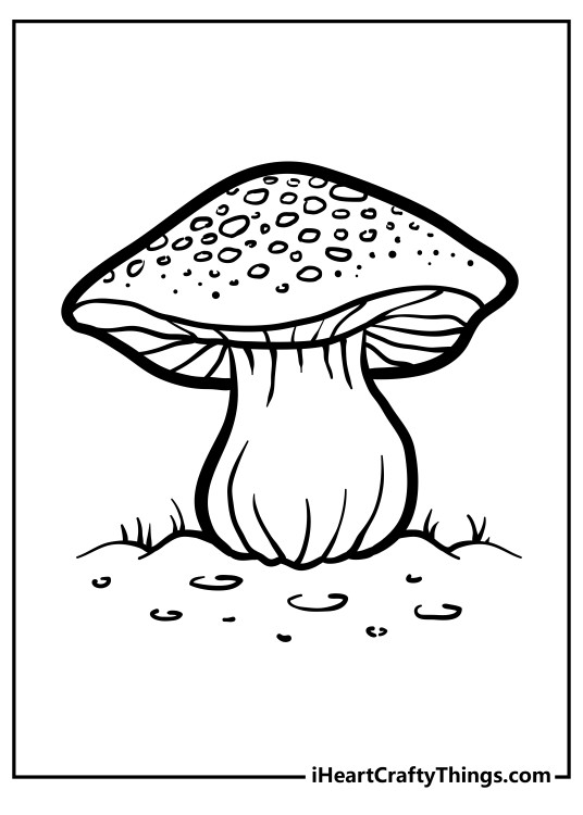 Black-and-white drawing for children of a mushroom with many great small details