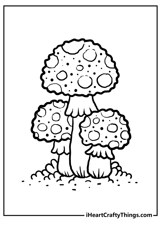 Image of three unusual-looking mushrooms with bumpier cap design and spots all over their caps