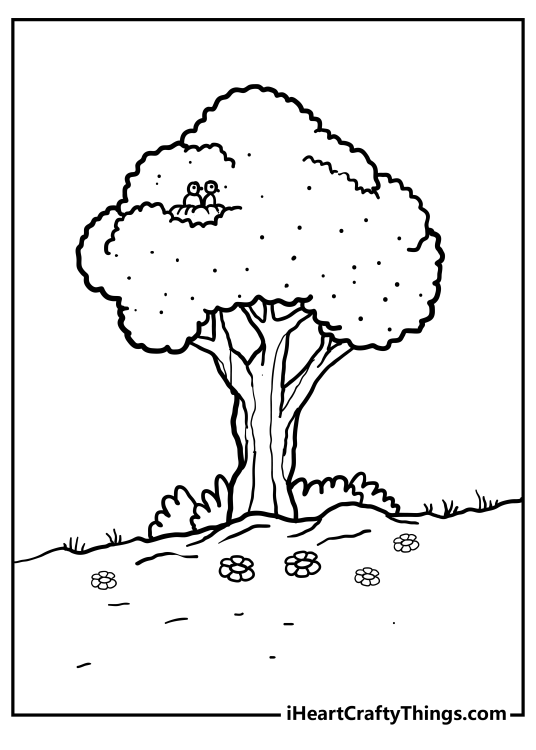 Nature-themed coloring picture featuring a peaceful tree that has some birds sitting in a nest