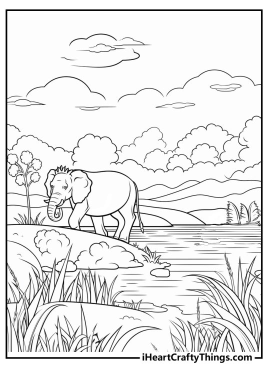 Nature coloring page featuring an elephant taking a drink from the river surrounded with various greenery