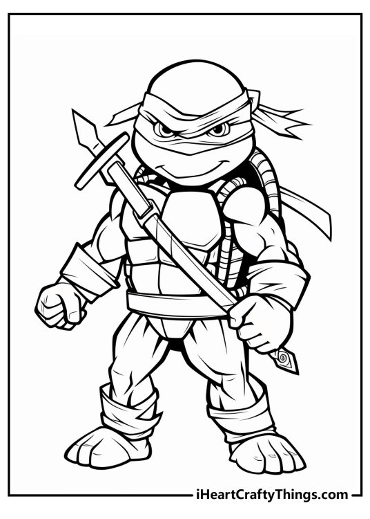 Ninja Turtles-themed poster presenting an awesome picture of one of the four famous turtles