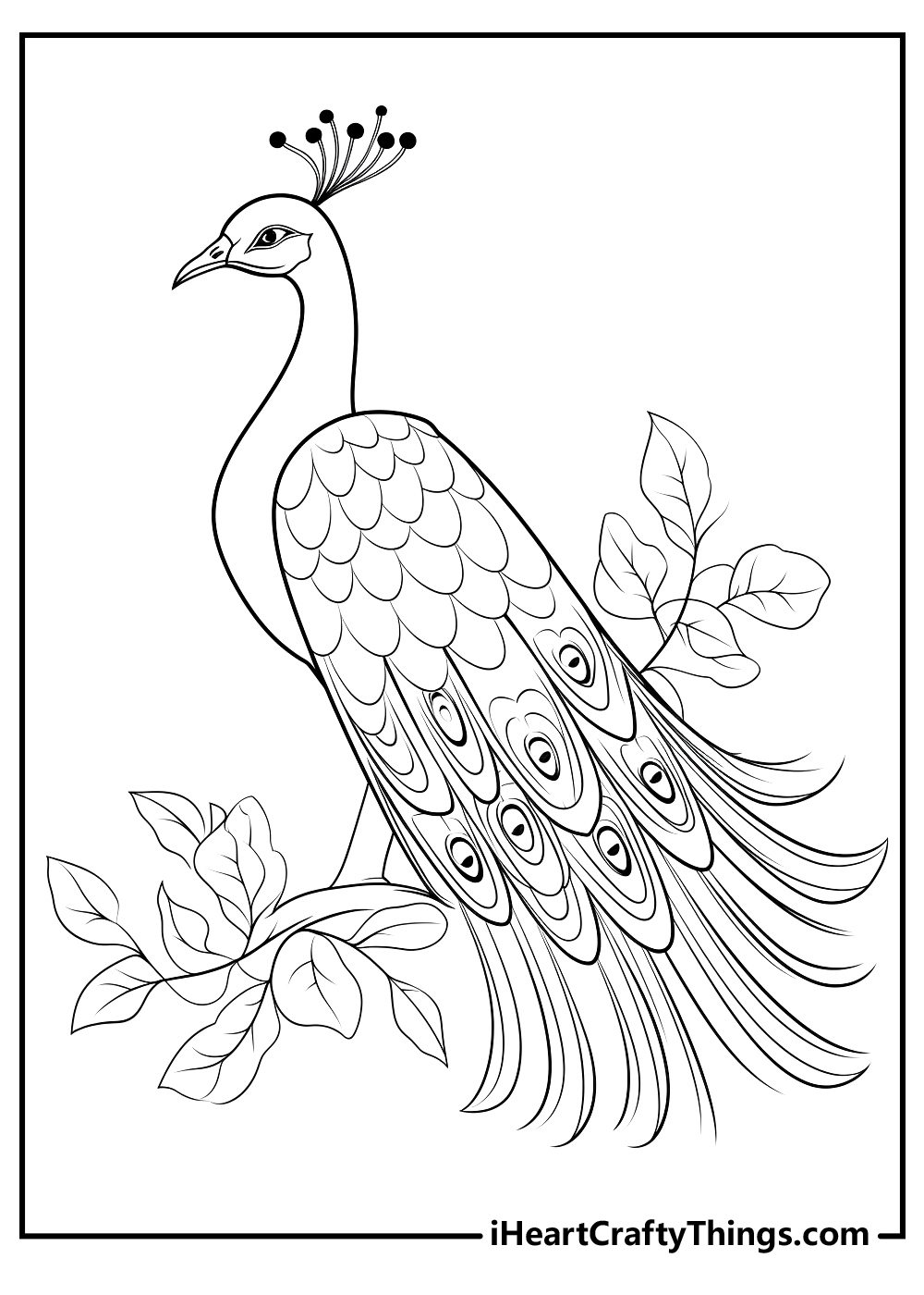 Peacock Coloring Book : Easy and Fun Peacock Coloring Pages for Kids