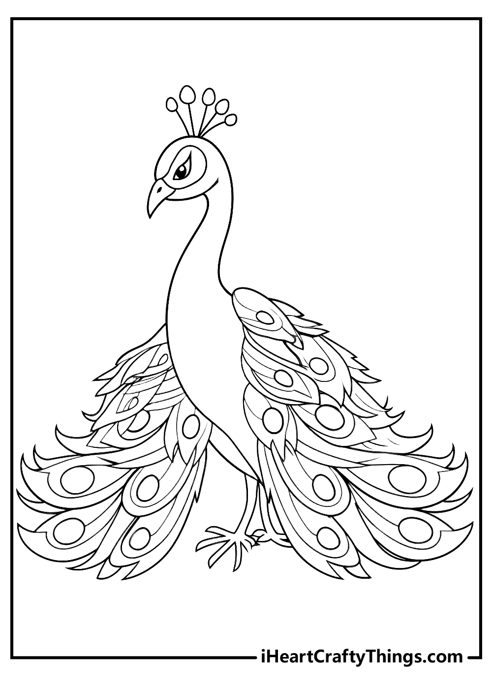 original peacock coloring printable