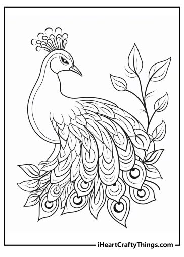 Peacocks Coloring Pages (100% Free Printables)