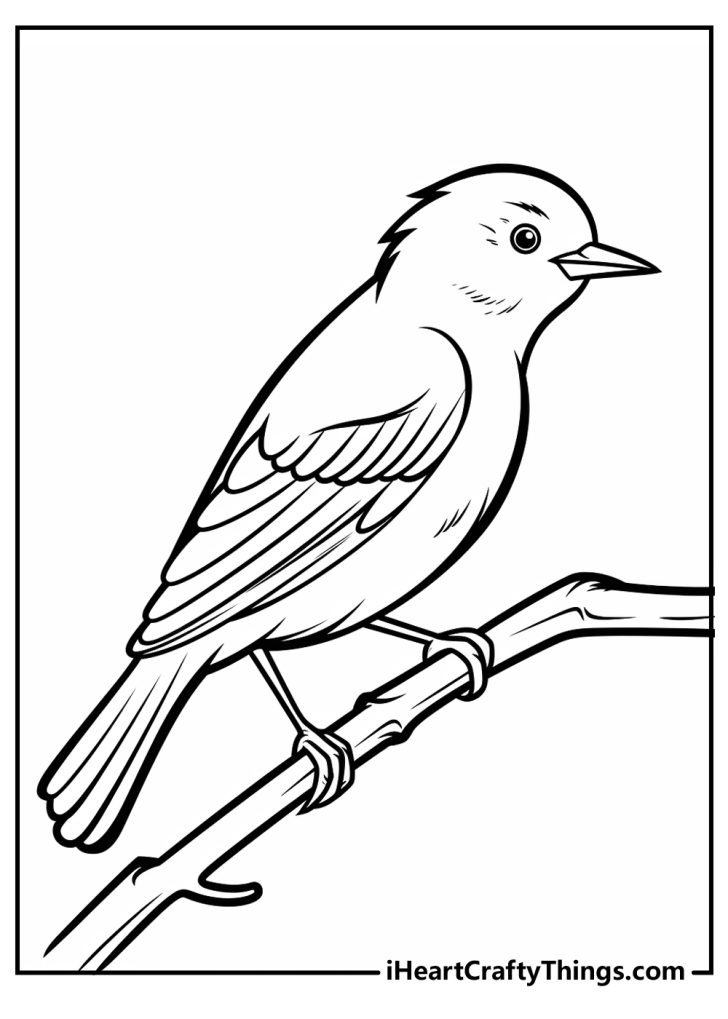 Bird Coloring Pages (100% Free Printables)