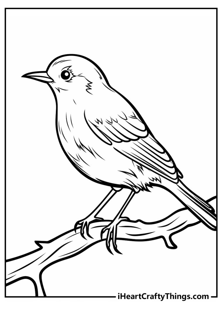 Bird Coloring Pages (100% Free Printables)