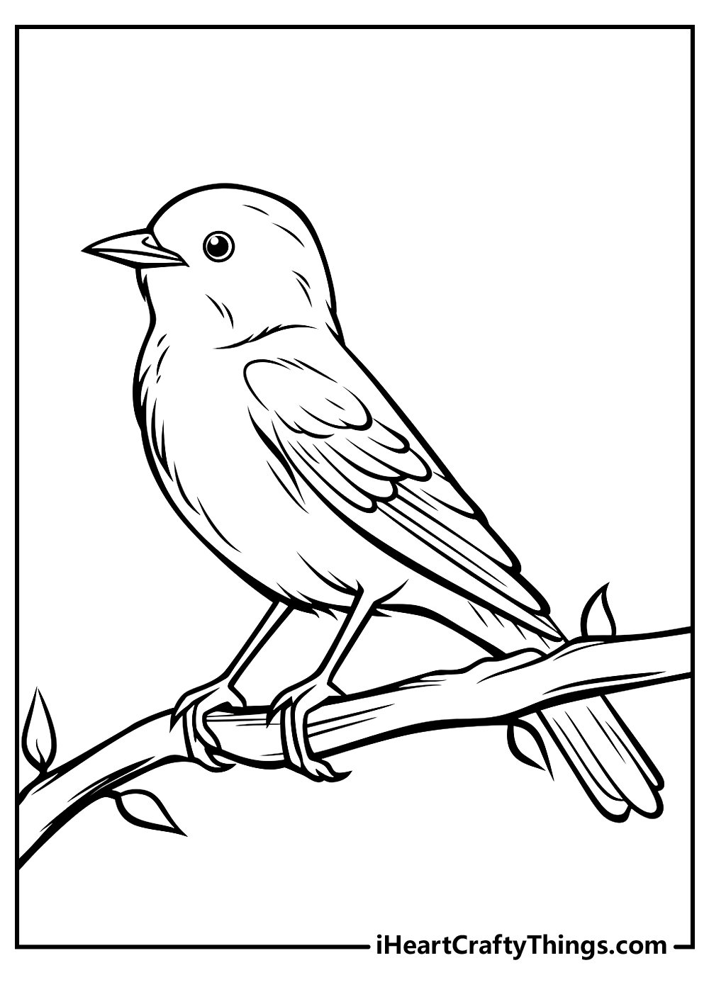 new bird coloring printable
