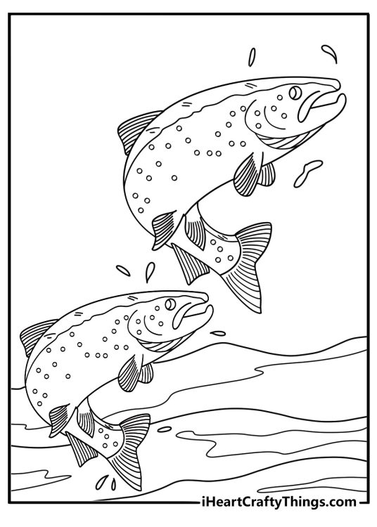 Detailed fish coloring page of salmon swimming upstream for adults