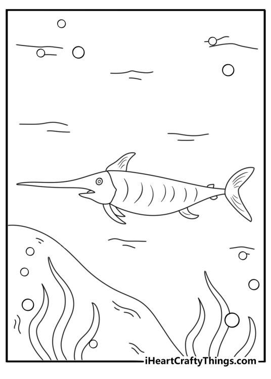 Fish coloring page featuring swordfish with long pointed nose