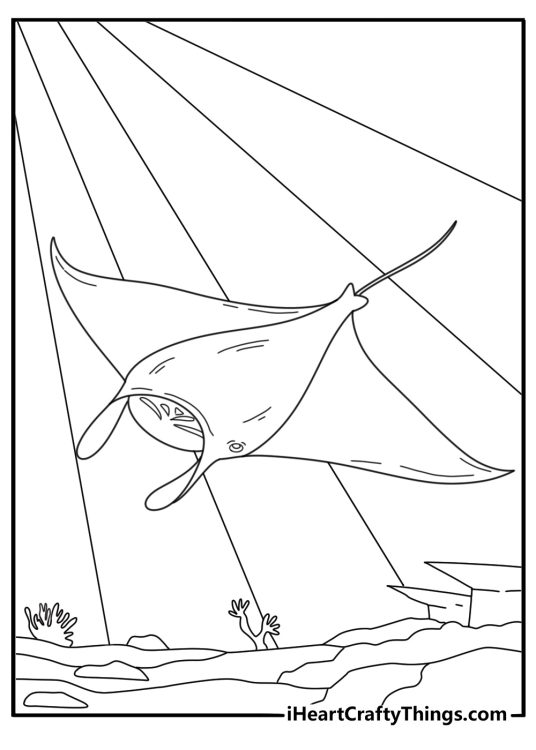 Fish coloring page showing manta ray spreading wide fins