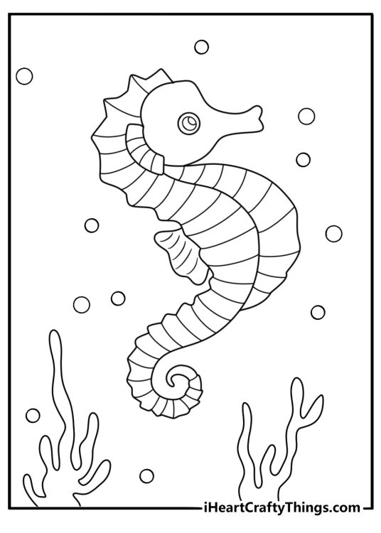 Free printable fish coloring sheet with seahorse floating upright