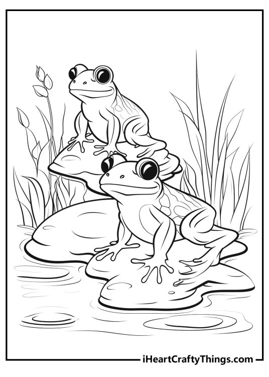 Free coloring picture for kids featuring two frogs chilling out on lily pads in a pond