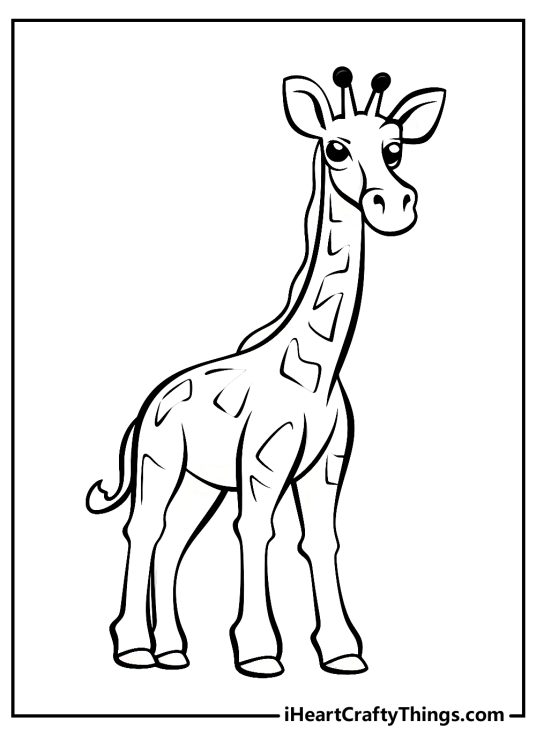 Giraffe Coloring Pages (100% Free Printables)