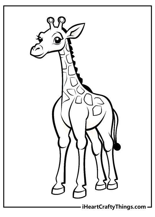 Coloring page for children featuring smiling giraffe with gentle eyes and a friendly expression
