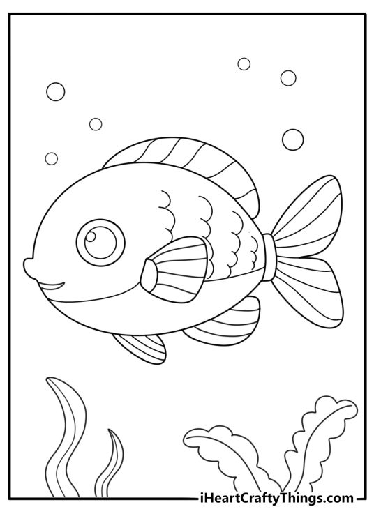 Simple fish coloring page with round body and flowing fins for kids