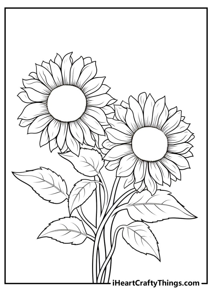 Sunflower Coloring Pages (100% Free Printables)