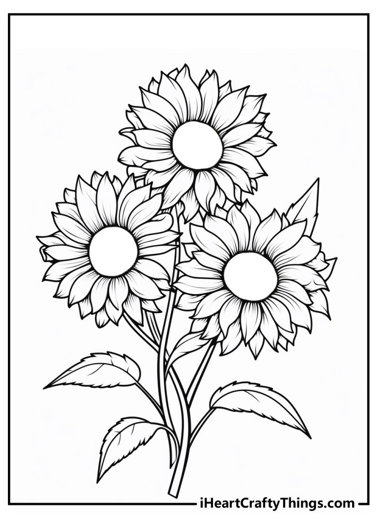 Sunflower Coloring Pages (100% Free Printables)