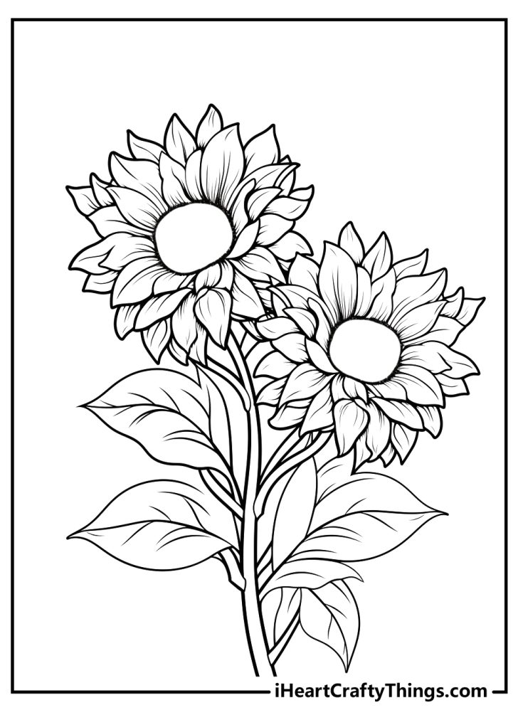 Sunflower Coloring Pages (100% Free Printables)