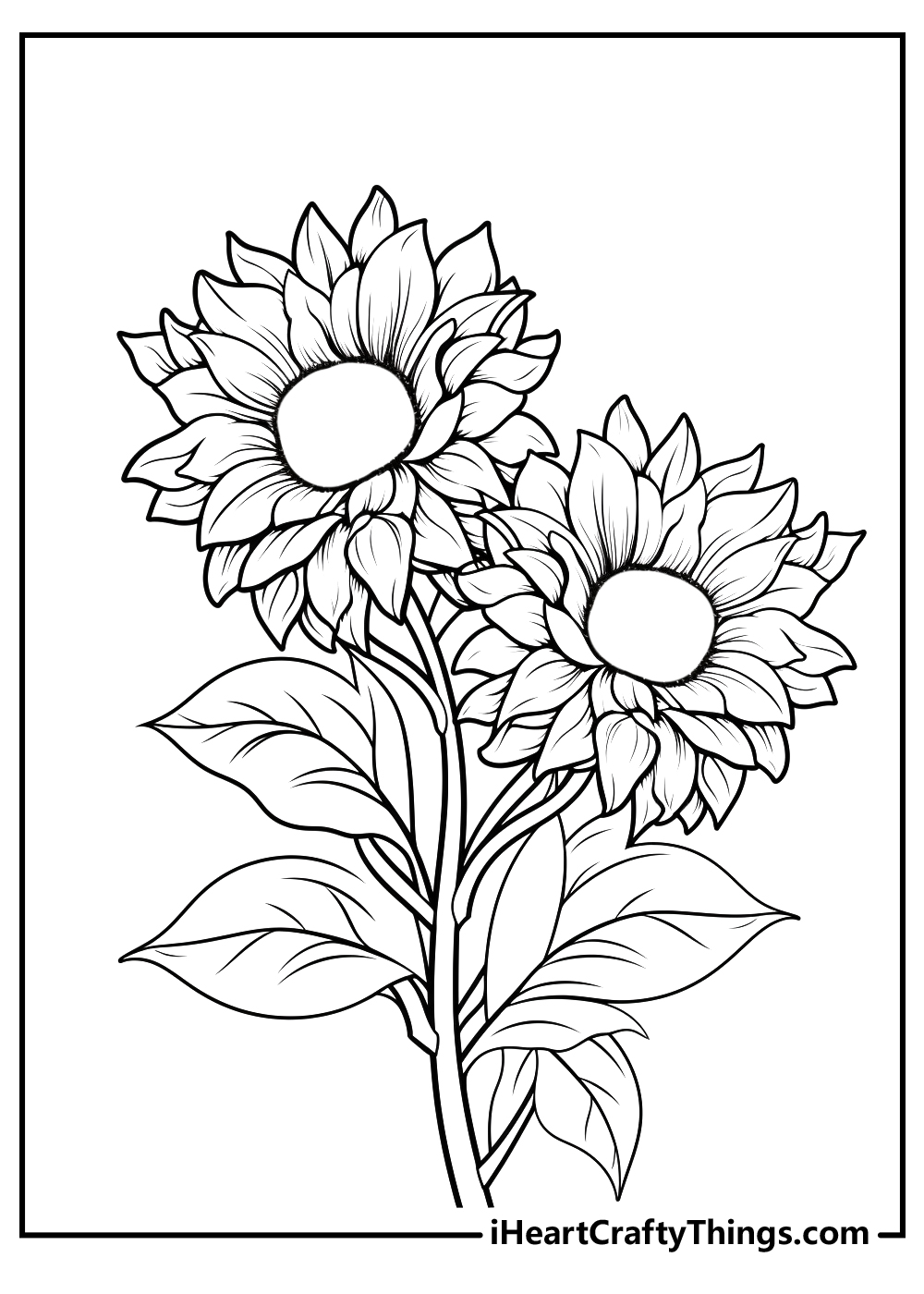 sunflower coloring sheet free download