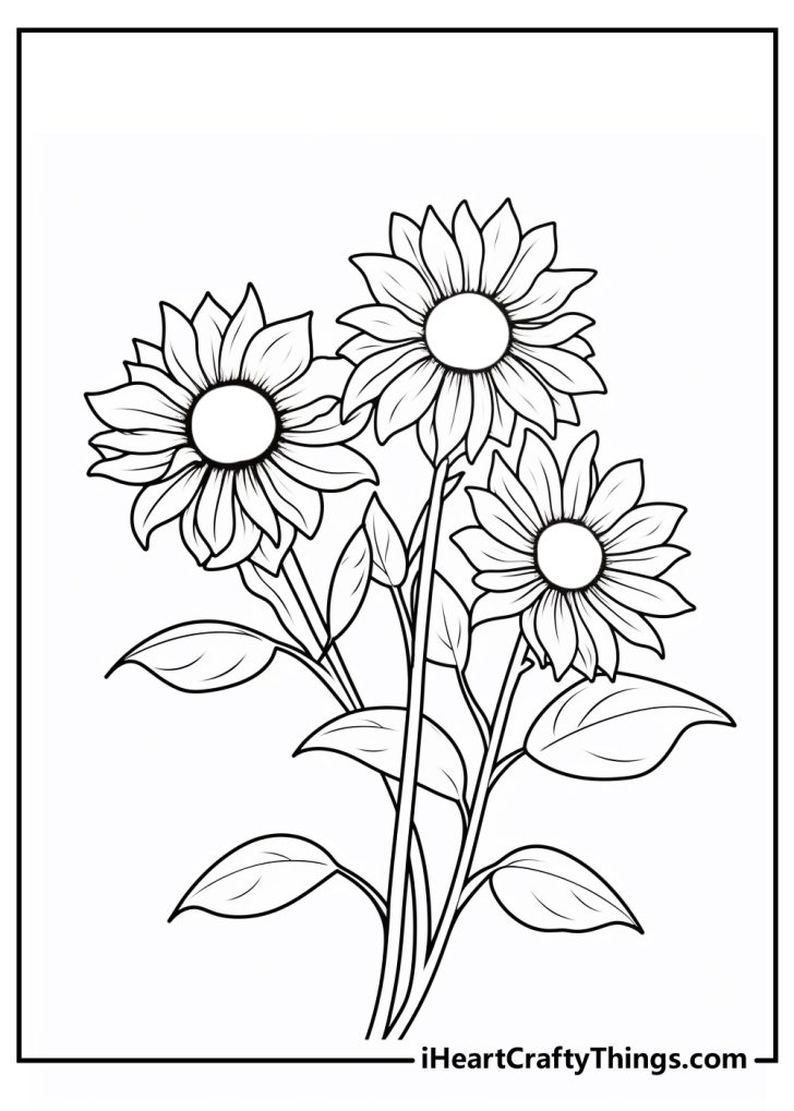 Sunflower Coloring Pages (100% Free Printables)