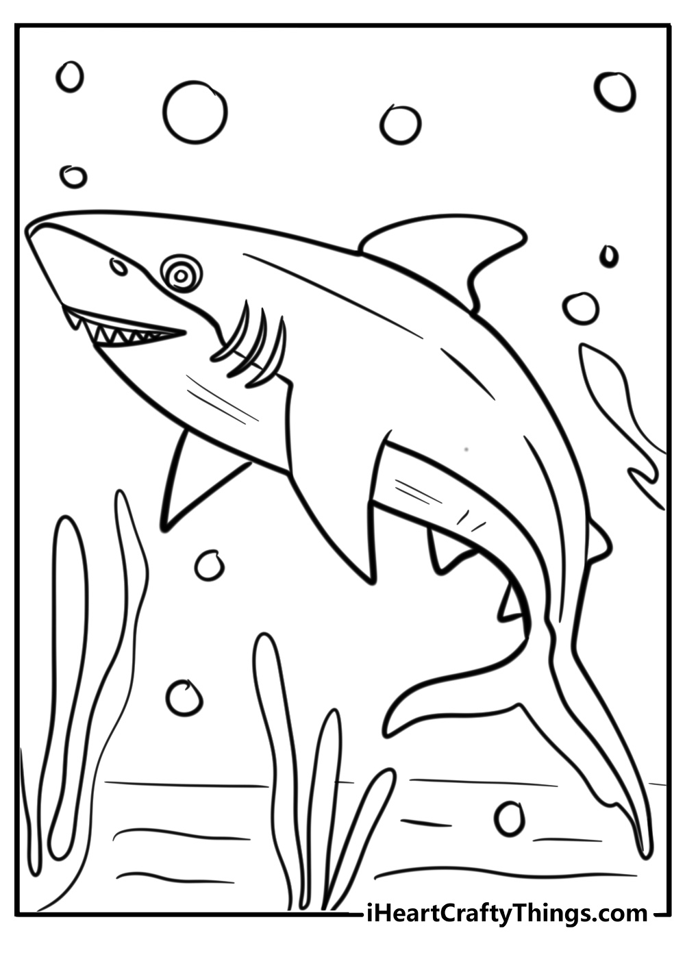 Close up of bull shark coloring page