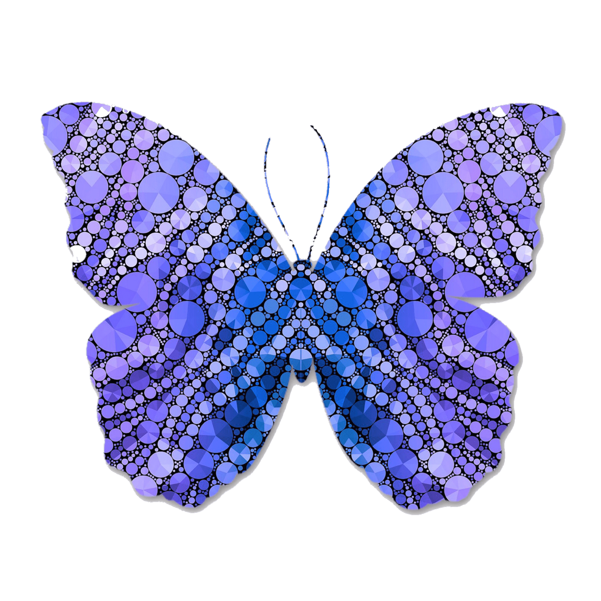 blue and purple butterfly