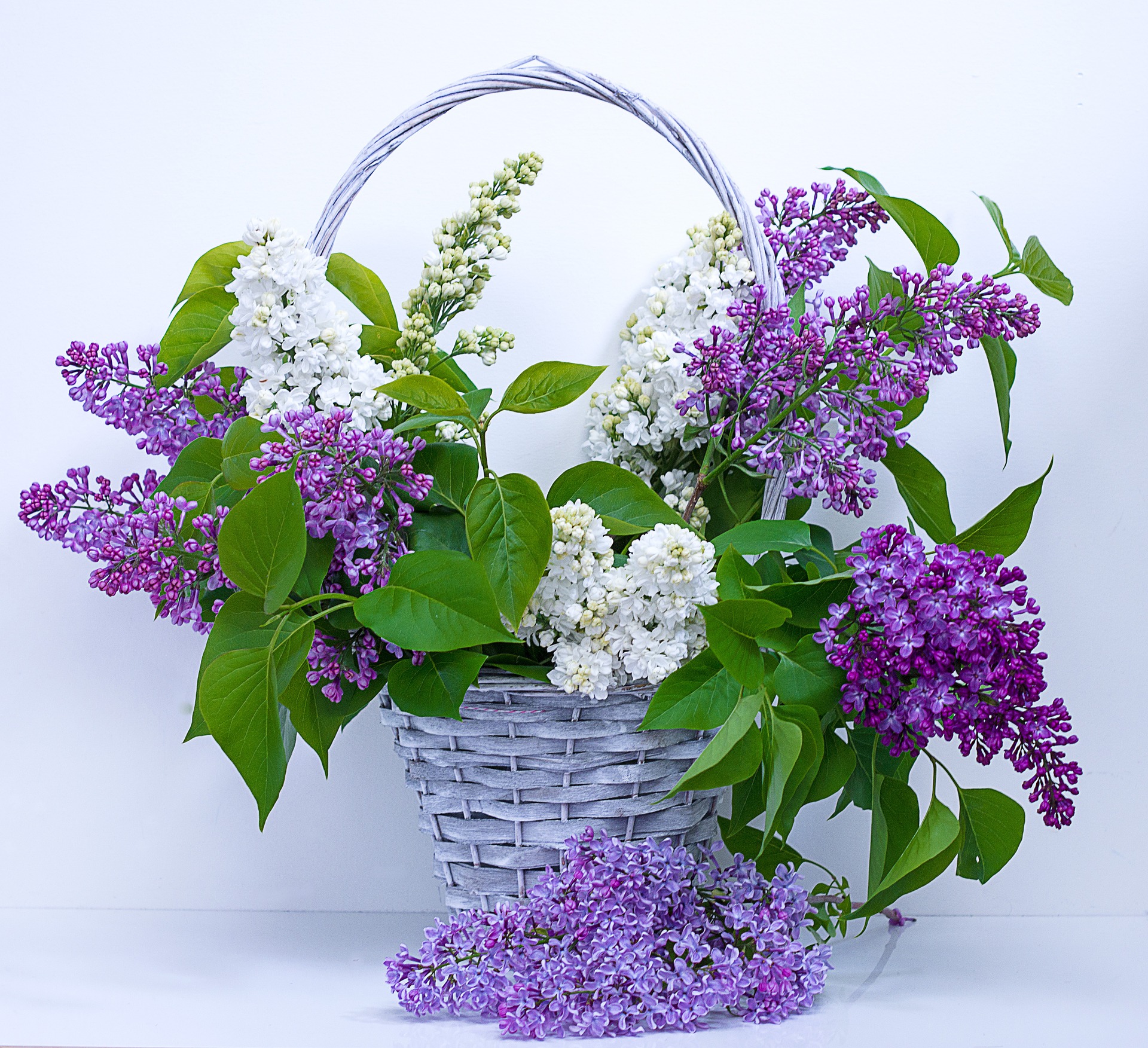 purple and green bouquet