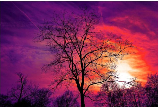 purple and yellow sunset