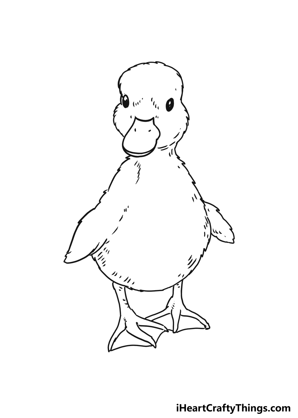 How to Draw A Cute Duckling step 5