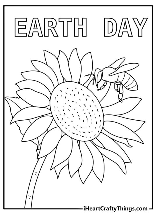 Bee pollinating a sunflower close view Earth Day nature coloring page