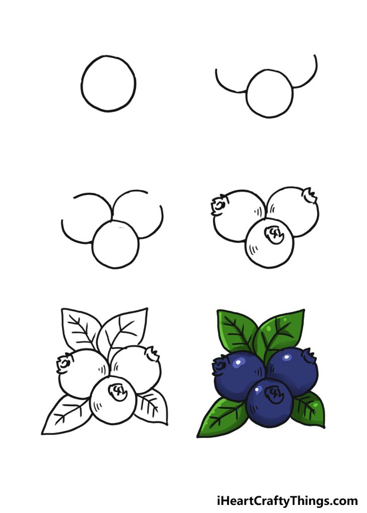 How To Draw A Blueberry Step By Step!