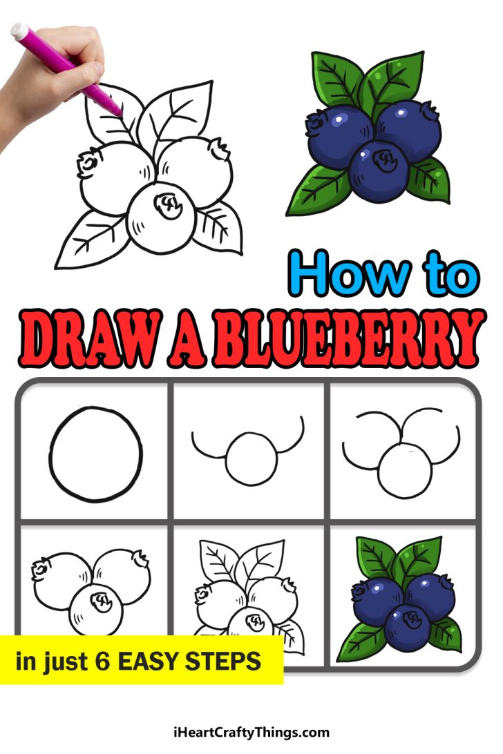How To Draw A Blueberry Step By Step!