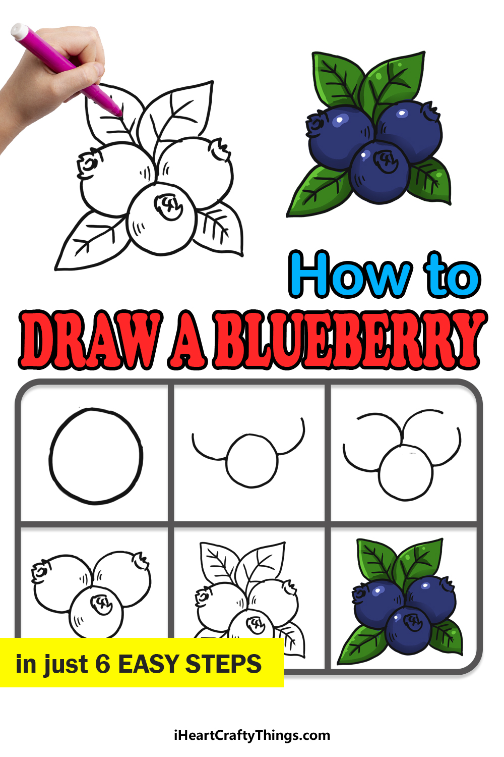 How to Draw A Blueberry step by step guide