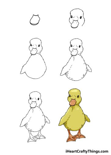 How To Draw A Cute Duckling Step By Step!