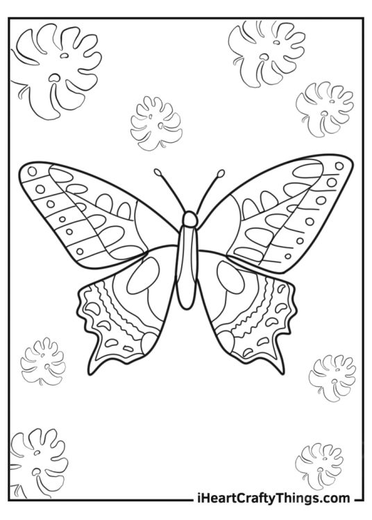 Printable butterfly picture to color